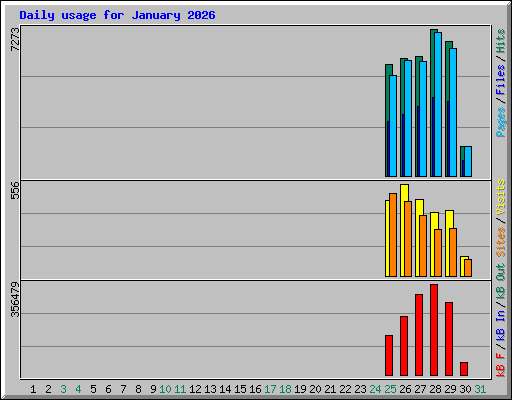 Daily usage for January 2026