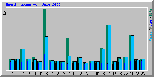 Hourly usage for July 2025
