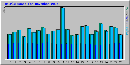 Hourly usage for November 2025