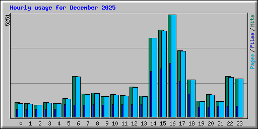 Hourly usage for December 2025