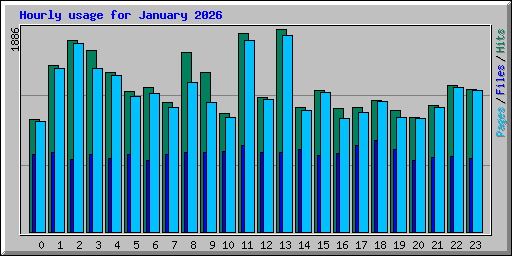 Hourly usage for January 2026
