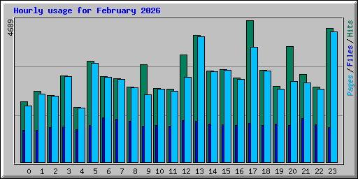 Hourly usage for February 2026