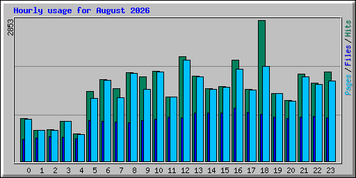 Hourly usage for August 2026